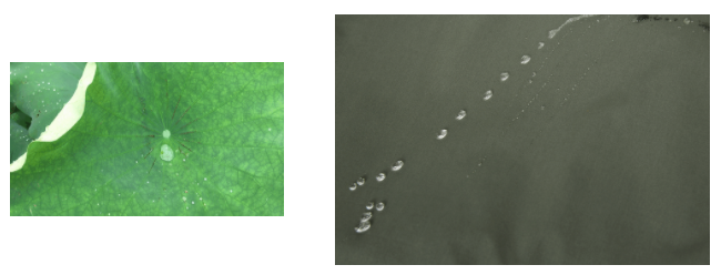 必一·运动(B-Sports)医用纺织