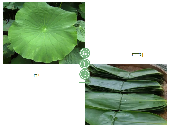 必一·运动(B-Sports)医纺