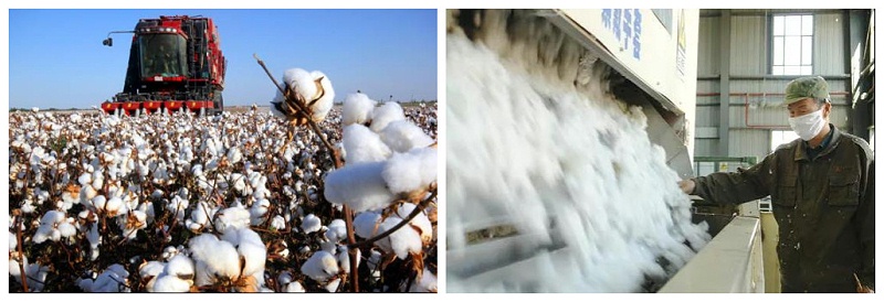 必一·运动(B-Sports)医纺