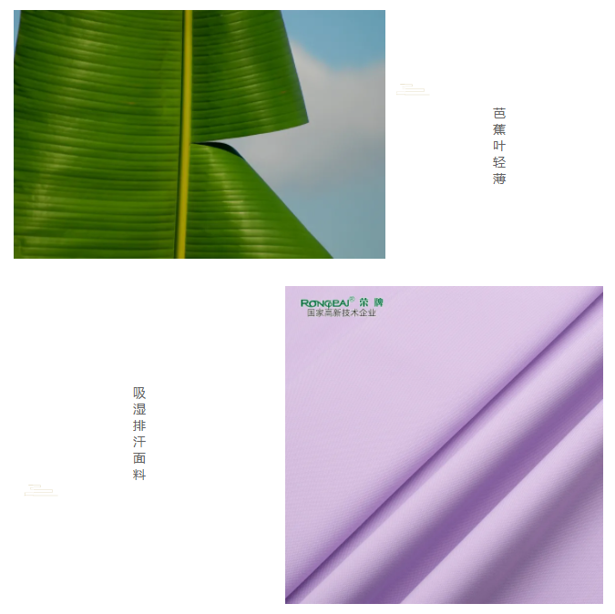 必一·运动(B-Sports)医纺